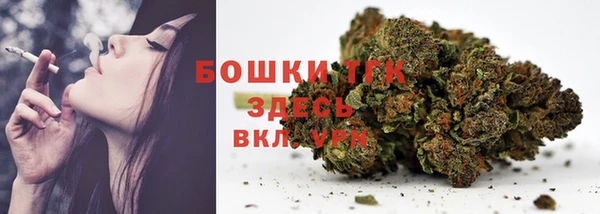 спиды Ельня