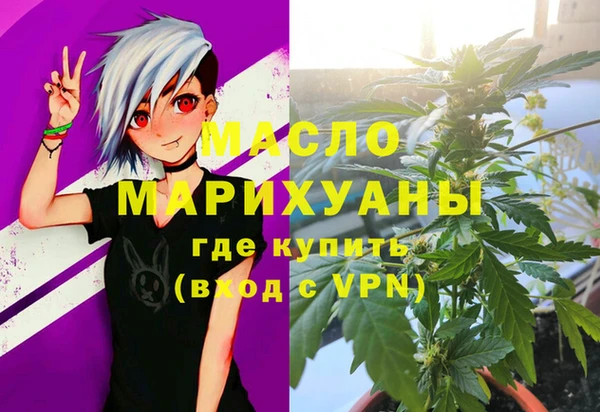 спиды Ельня