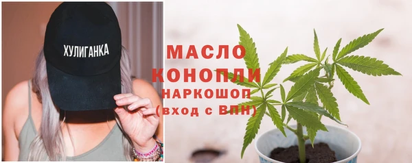 спиды Ельня