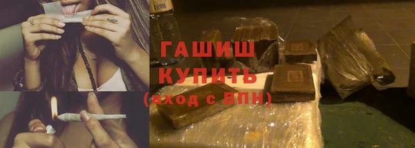 спиды Ельня