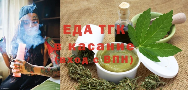 спиды Ельня