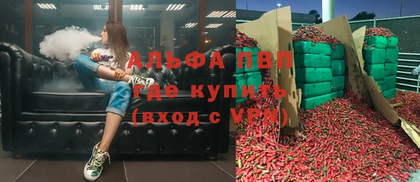 спиды Ельня