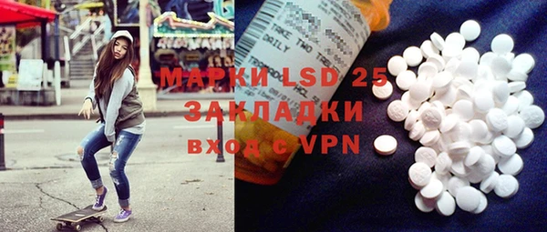 спиды Ельня