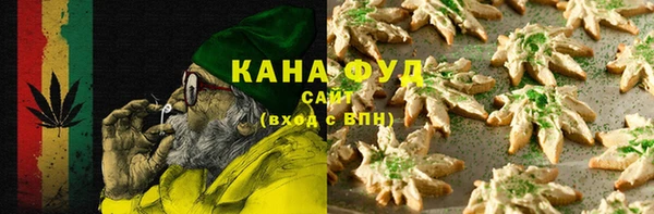 спиды Ельня