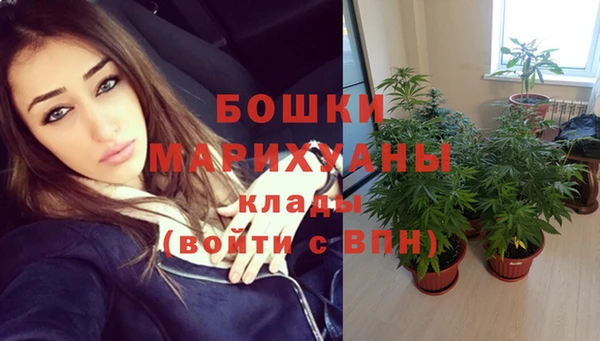 спиды Ельня