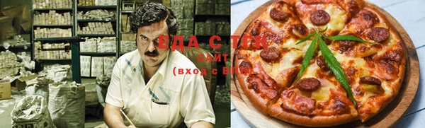 спиды Ельня