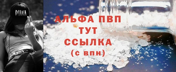 PSILOCYBIN Елизово