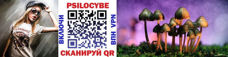 где можно купить   блэк спрут сайт  Псилоцибиновые грибы мухоморы  Саянск 