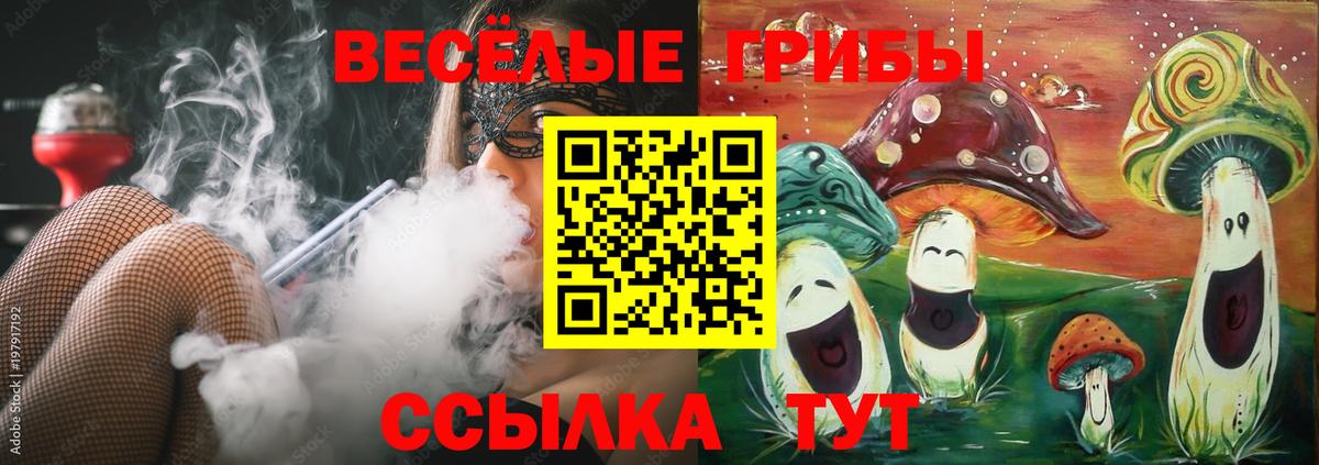 Псилоцибиновые грибы прущие грибы Саянск