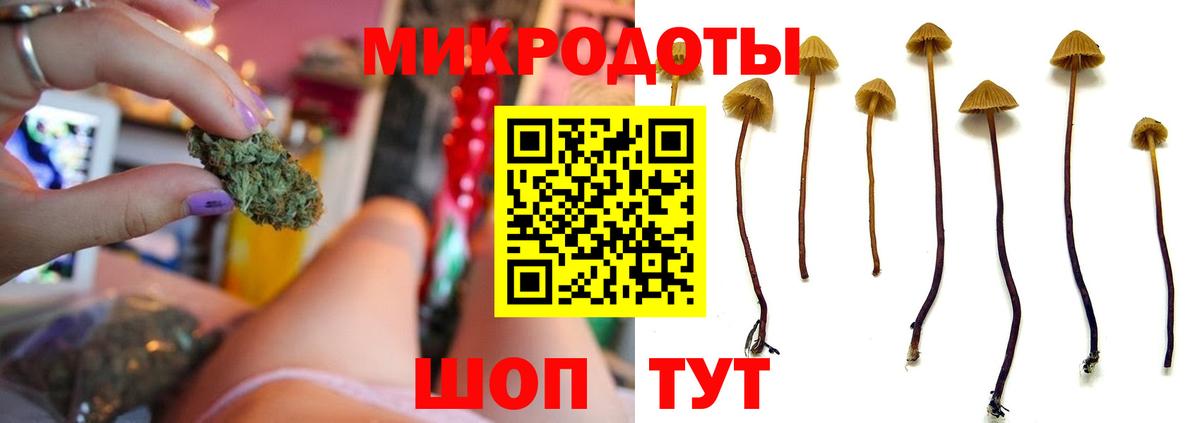 Псилоцибиновые грибы Magic Shrooms  Вход с VPN  Саянск  Псилоцибиновые грибы GOLDEN TEACHER 
